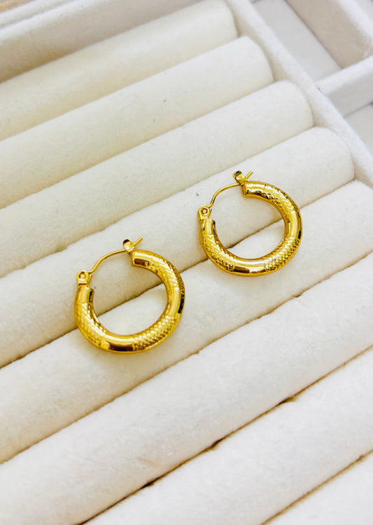 All Day Hoop Earrngs